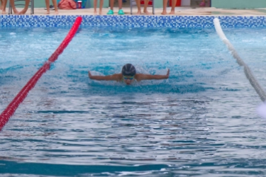 PiscinaWeb2