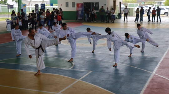 Actividad de Karate